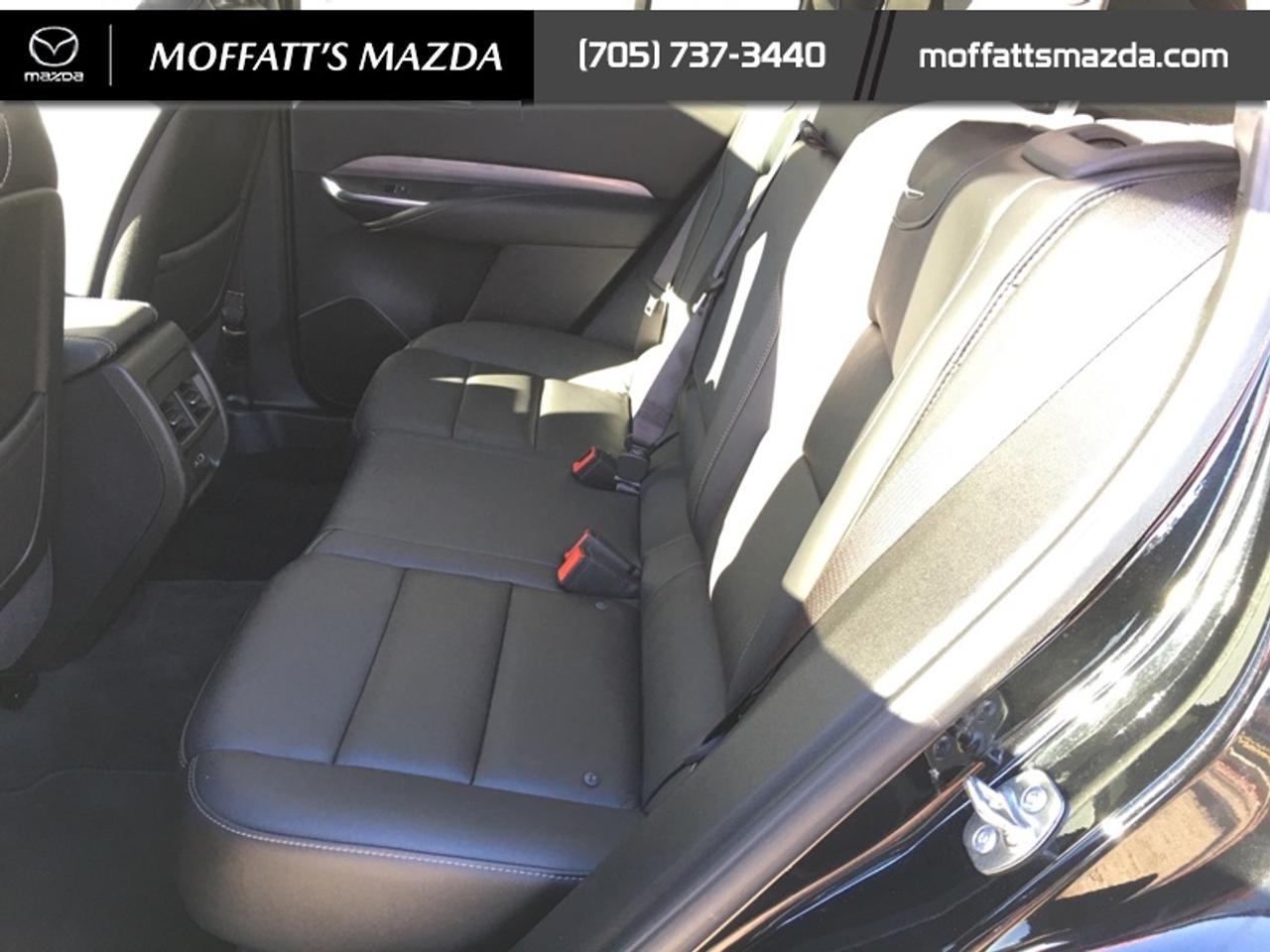 2024 Cadillac XT4 Premium Luxury Photo