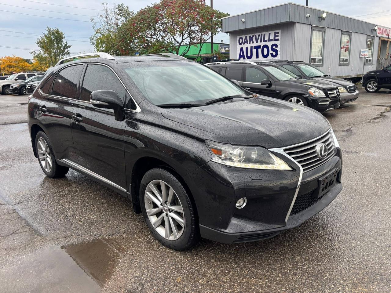2015 Lexus RX 350 AWD 4dr executive series Photo