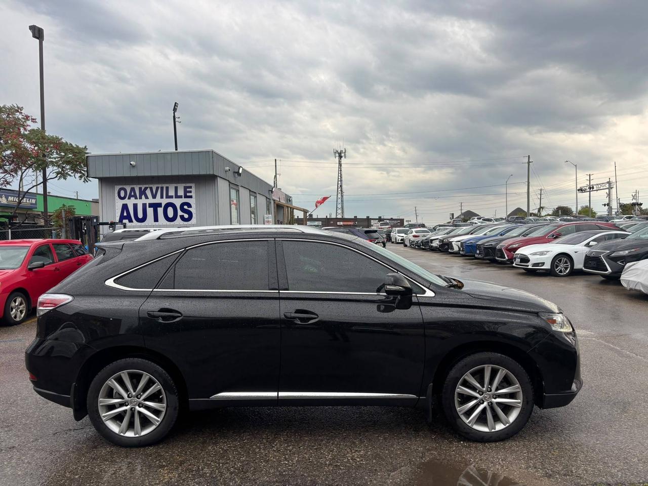 2015 Lexus RX 350 AWD 4dr executive series Photo