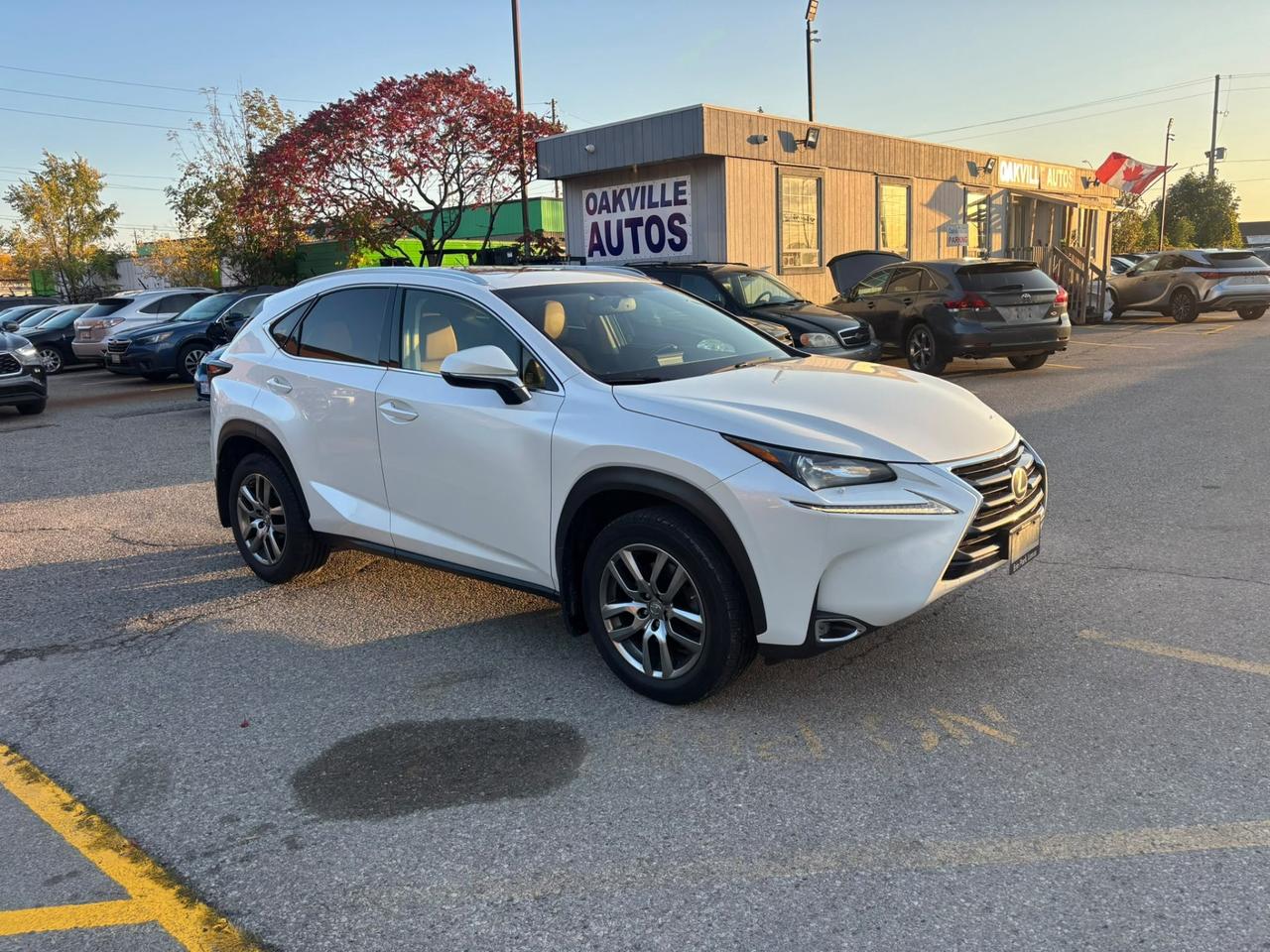 2015 Lexus NX AWD 4DR Photo