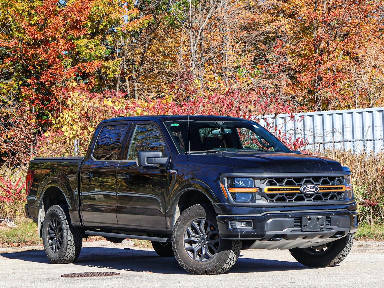 2025 Ford F-150 Tremor Photo1