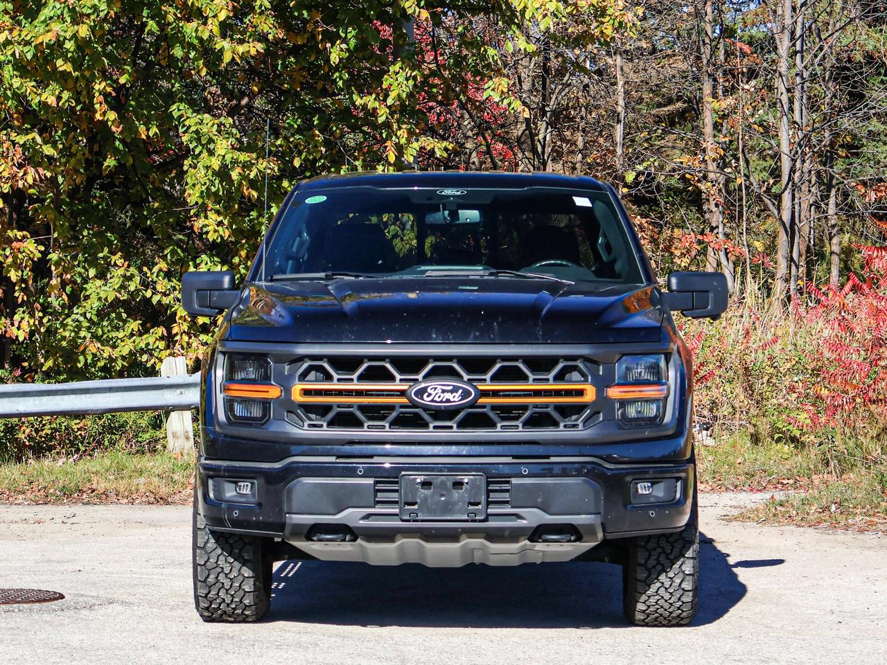 2025 Ford F-150 Tremor Photo