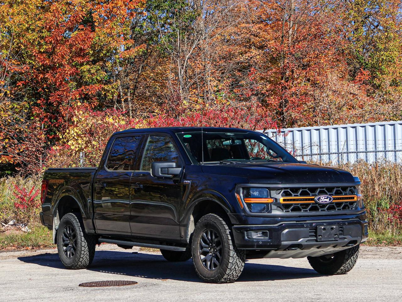 2025 Ford F-150 Tremor Photo