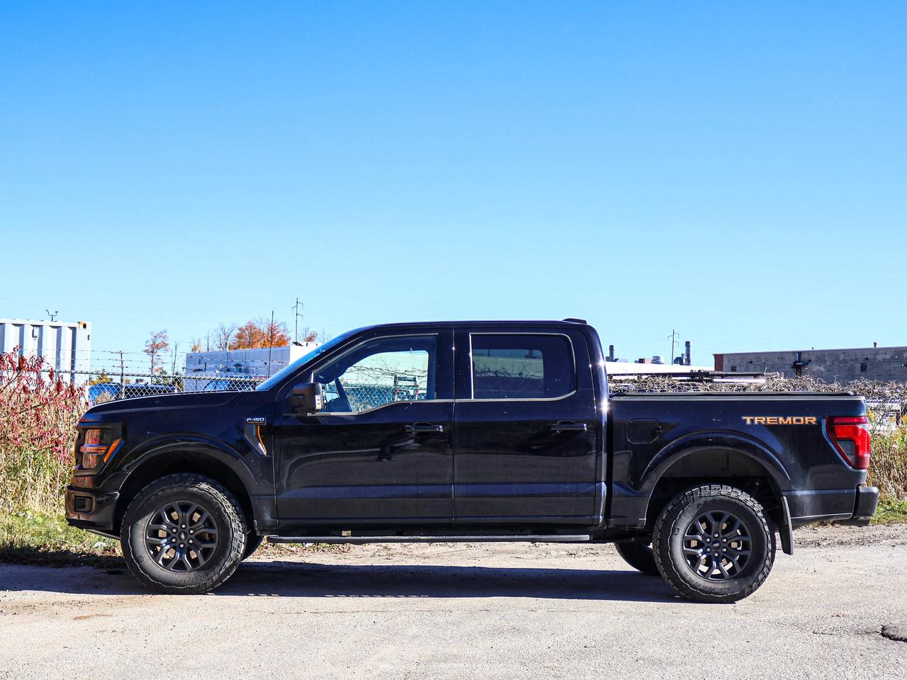 2025 Ford F-150 Tremor Photo