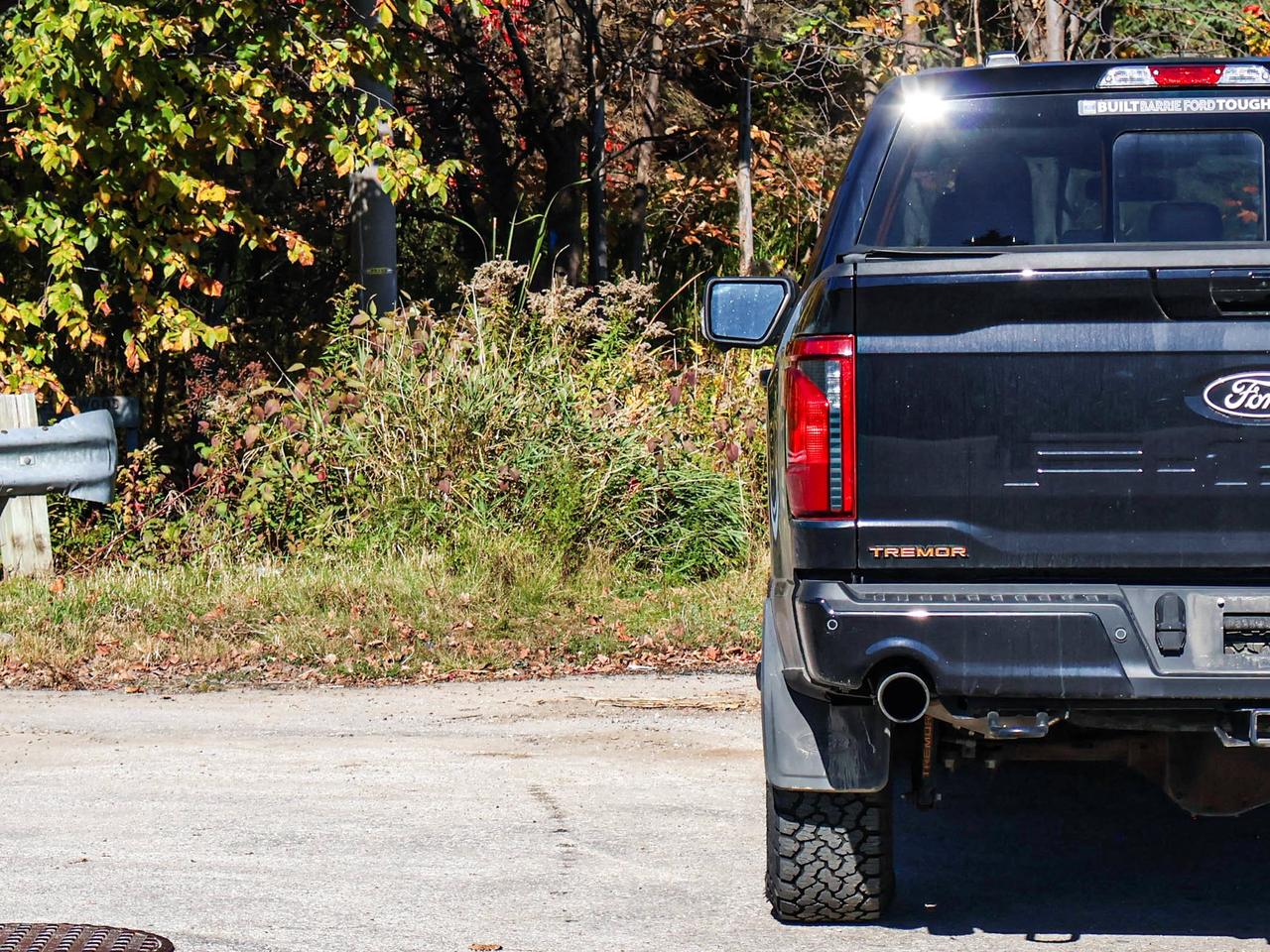 2025 Ford F-150 Tremor Photo