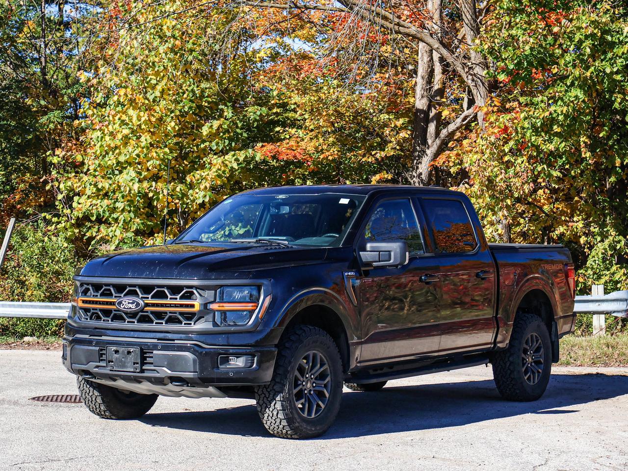 2025 Ford F-150 Tremor Photo