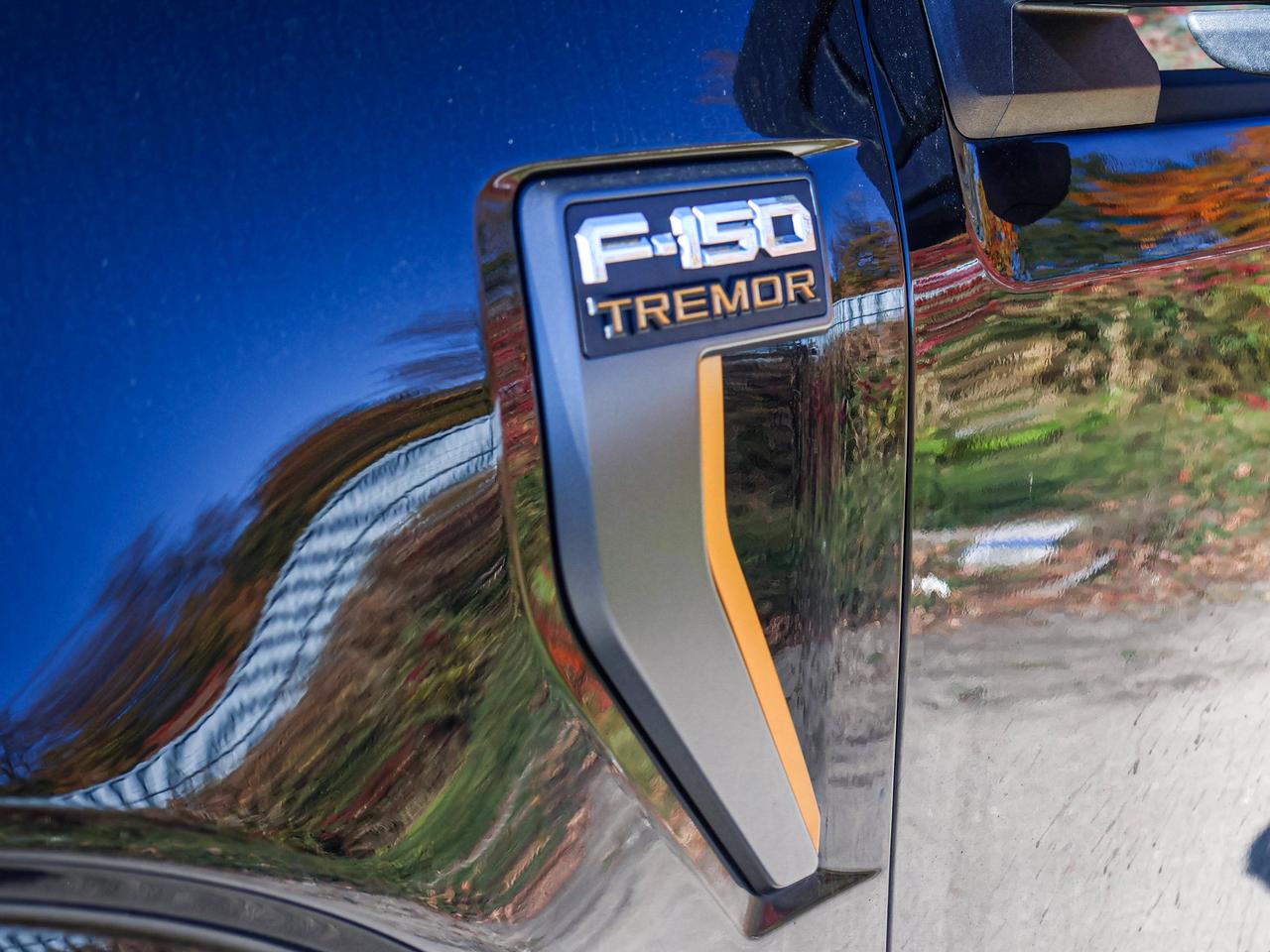 2025 Ford F-150 Tremor Photo