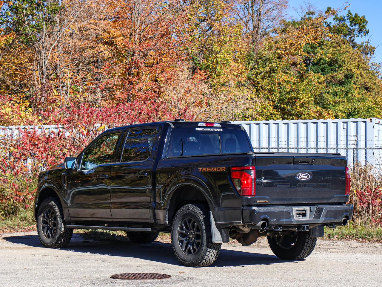 2025 Ford F-150 Tremor Photo
