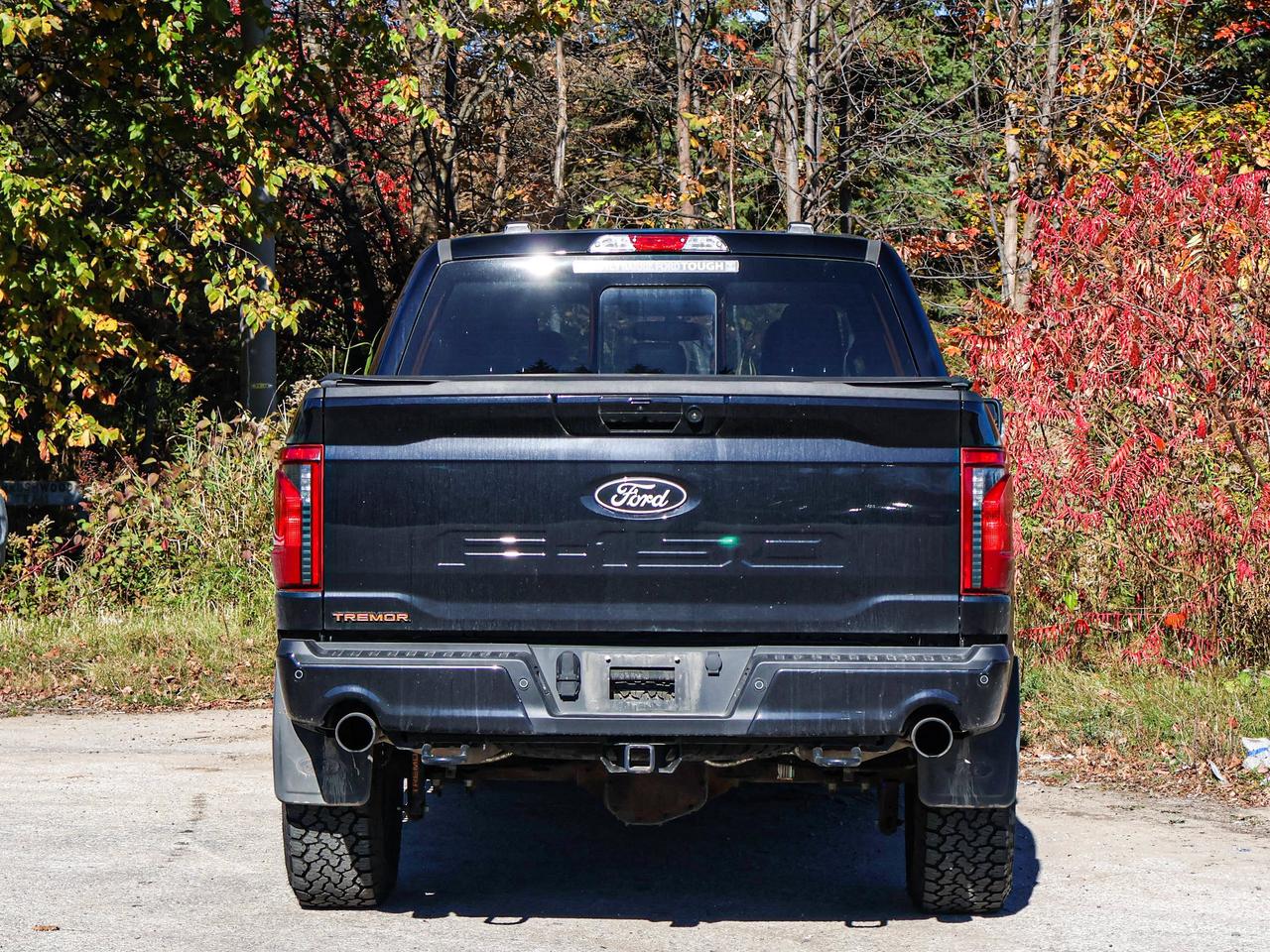 2025 Ford F-150 Tremor Photo