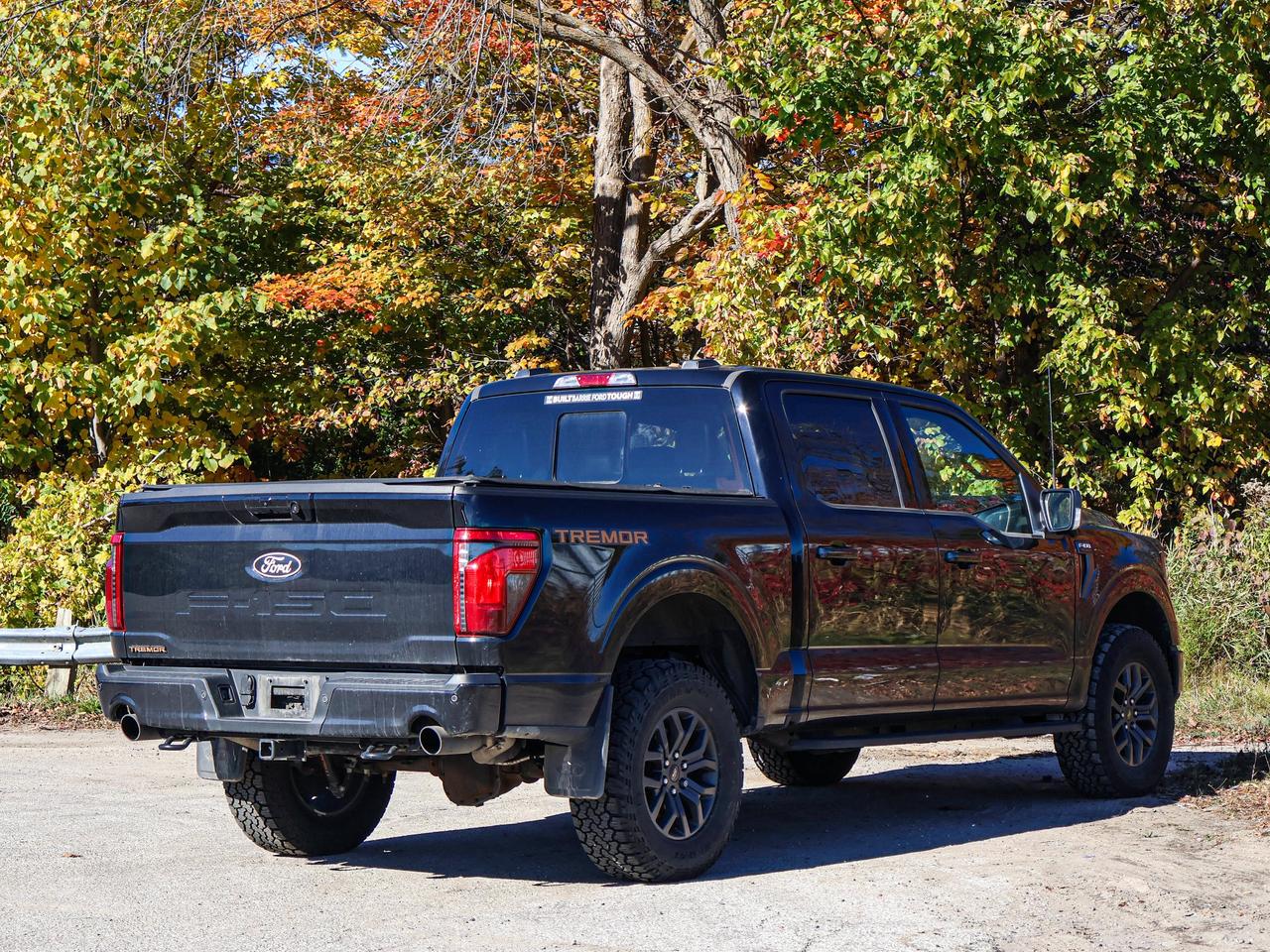 2025 Ford F-150 Tremor Photo
