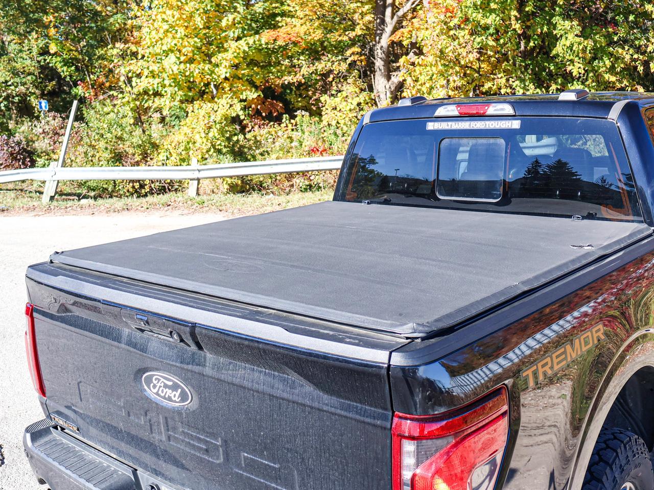 2025 Ford F-150 Tremor Photo