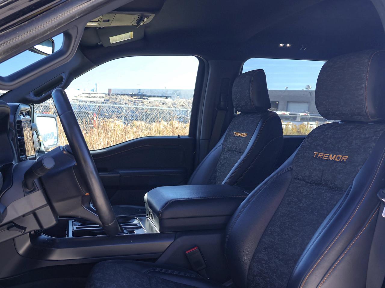2025 Ford F-150 Tremor Photo