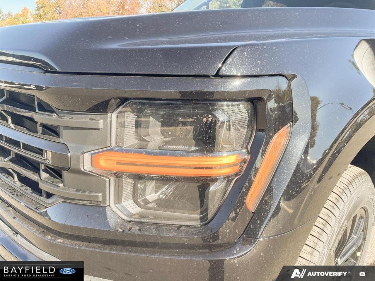 2026 Ford F-150 XLT Photo