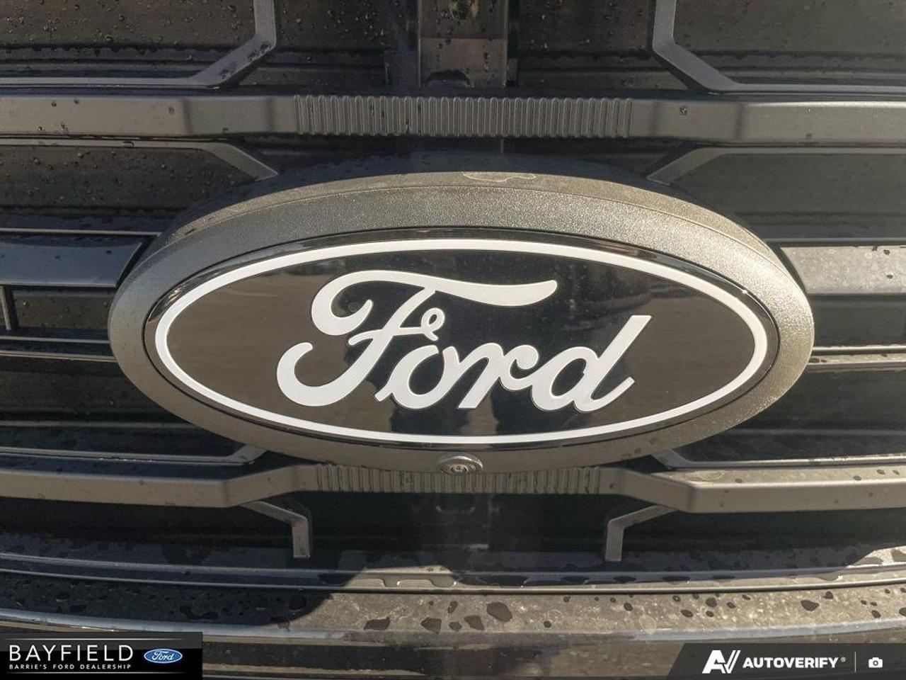 2026 Ford F-150 XLT Photo