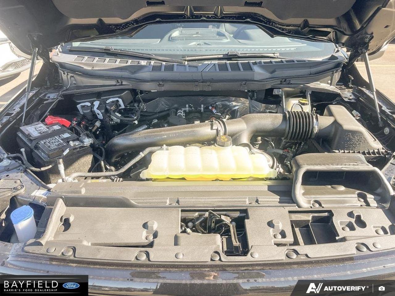 2026 Ford F-150 XLT Photo