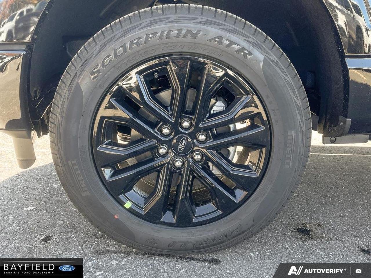 2026 Ford F-150 XLT Photo