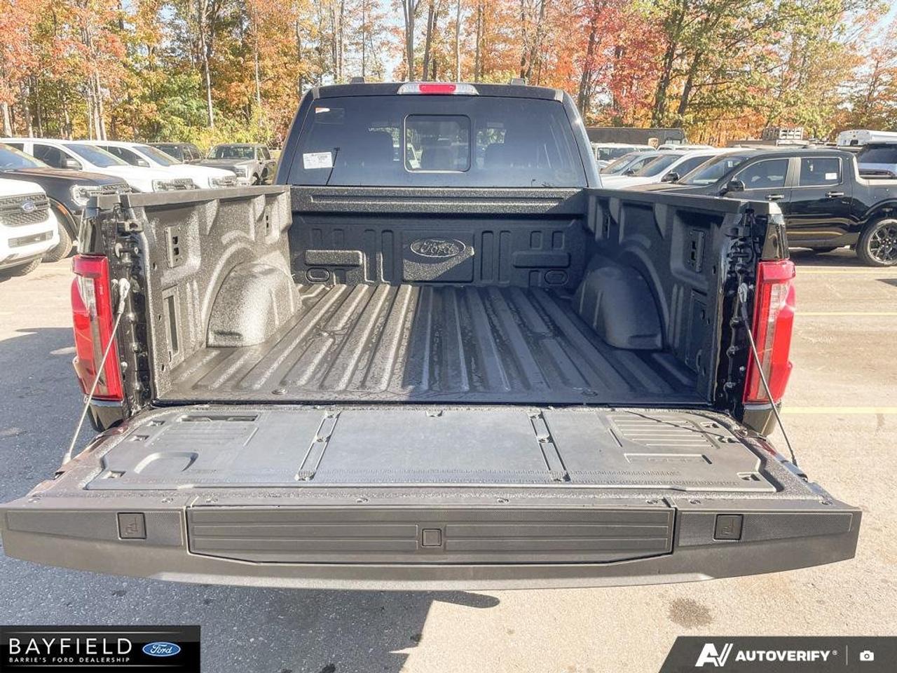 2026 Ford F-150 XLT Photo