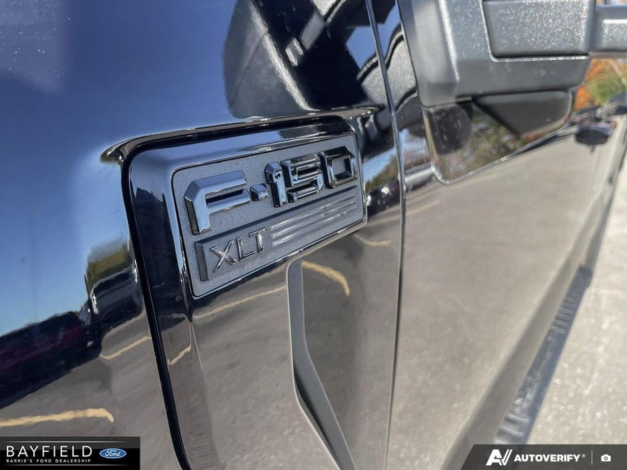 2026 Ford F-150 XLT Photo