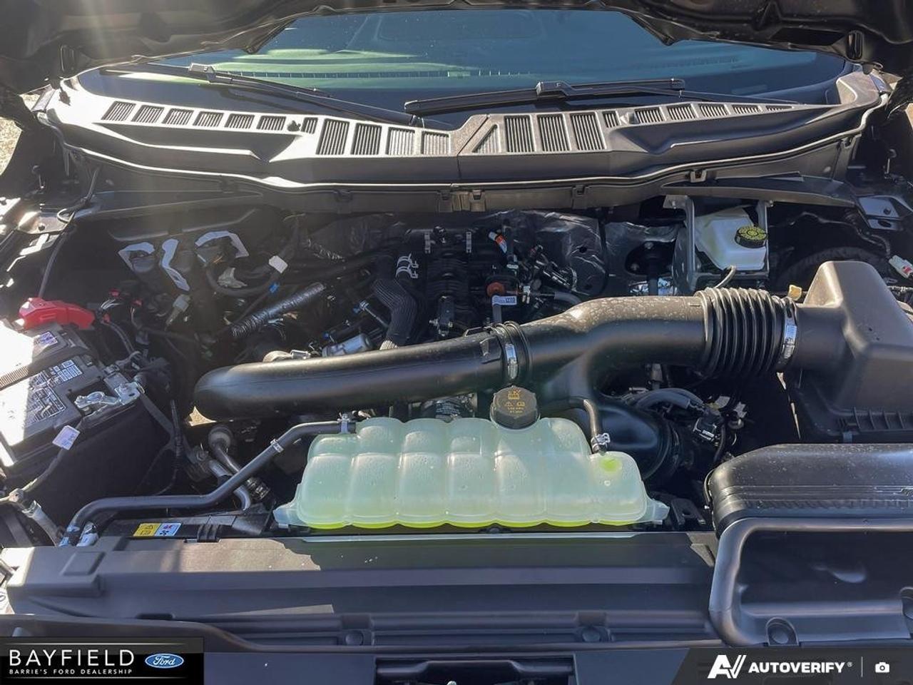 2026 Ford F-150 XLT Photo