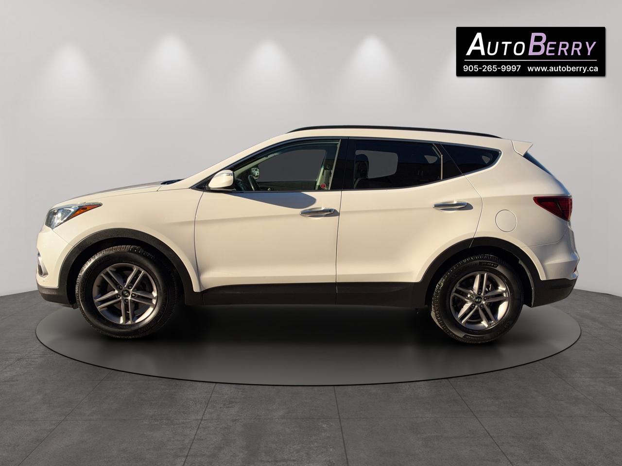 2017 Hyundai Santa Fe SPORT PREMIUM Photo
