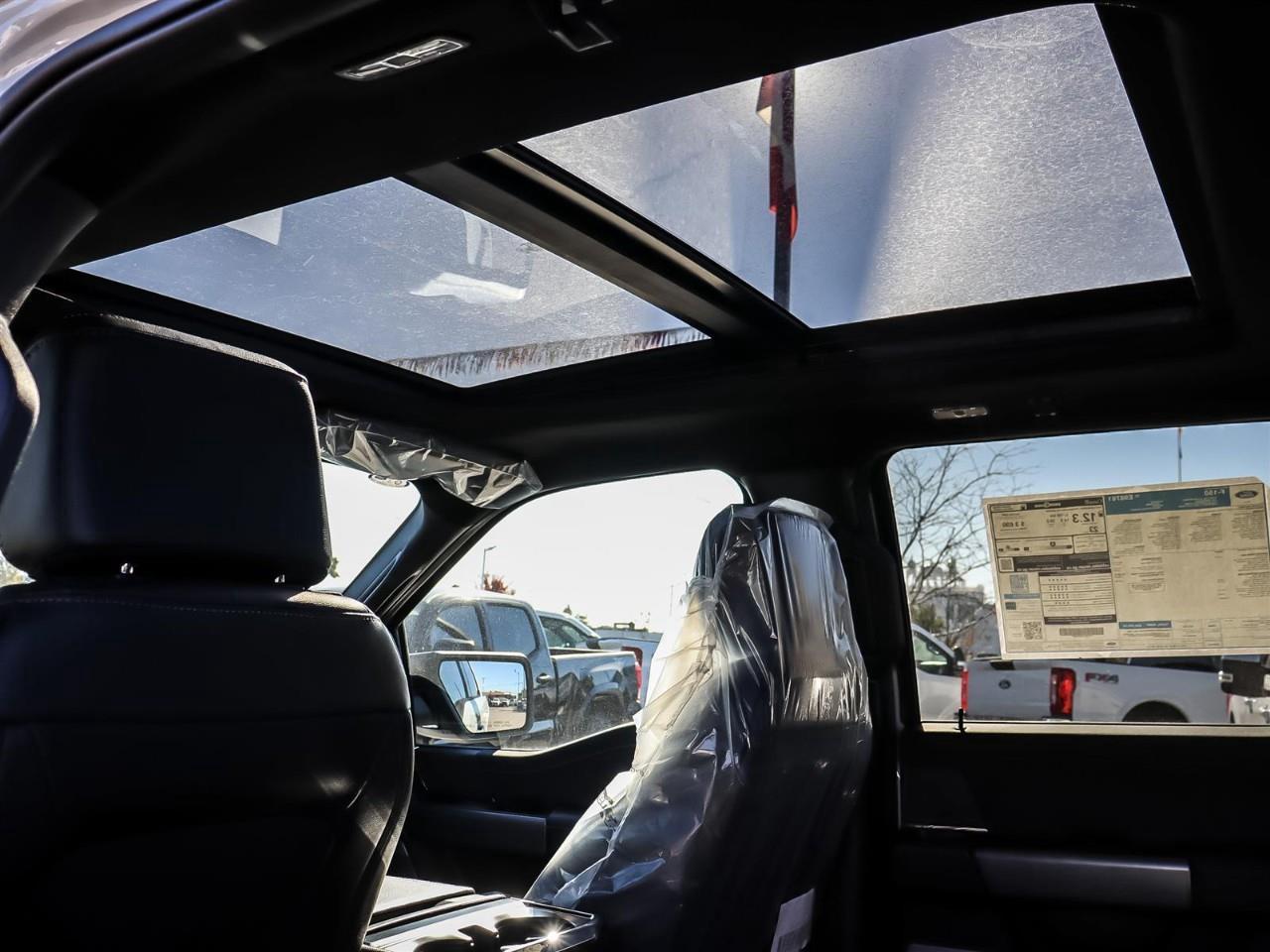 2026 Ford F-150 XLT Photo
