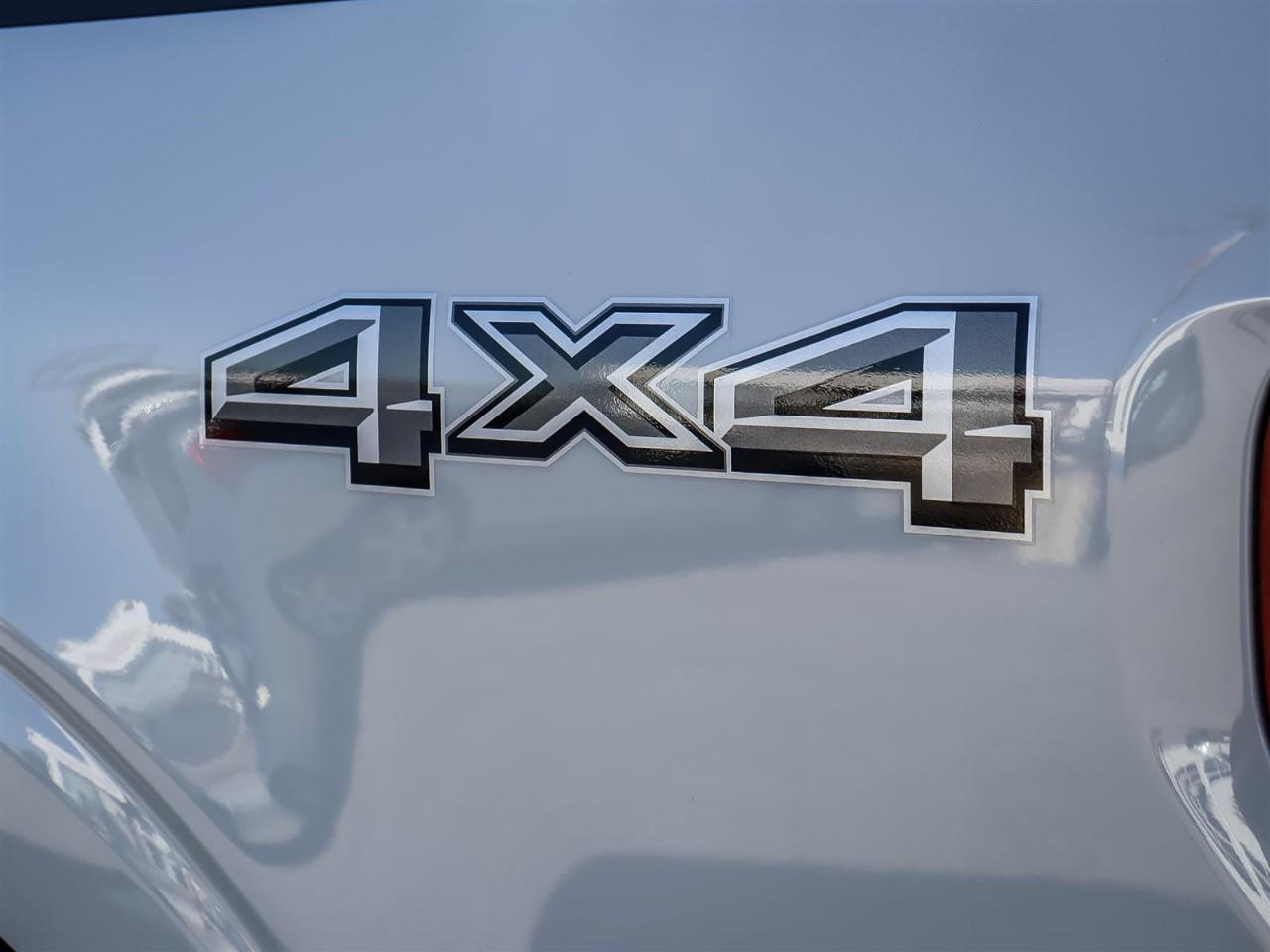 2026 Ford F-150 XLT Photo