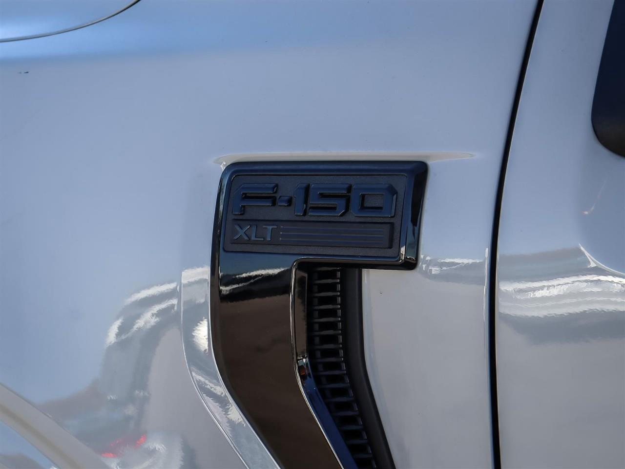 2026 Ford F-150 XLT Photo