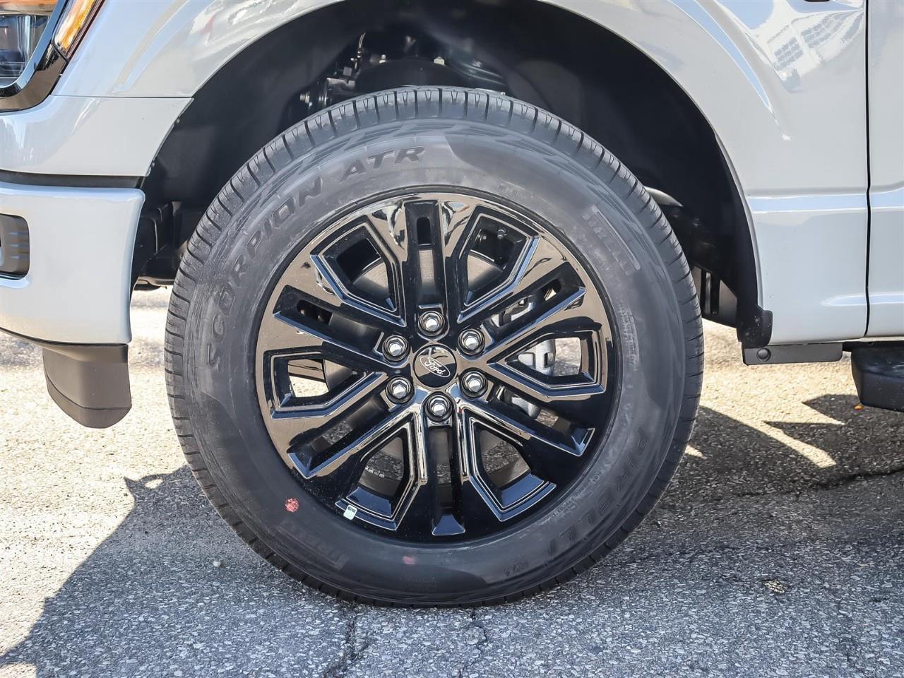2026 Ford F-150 XLT Photo