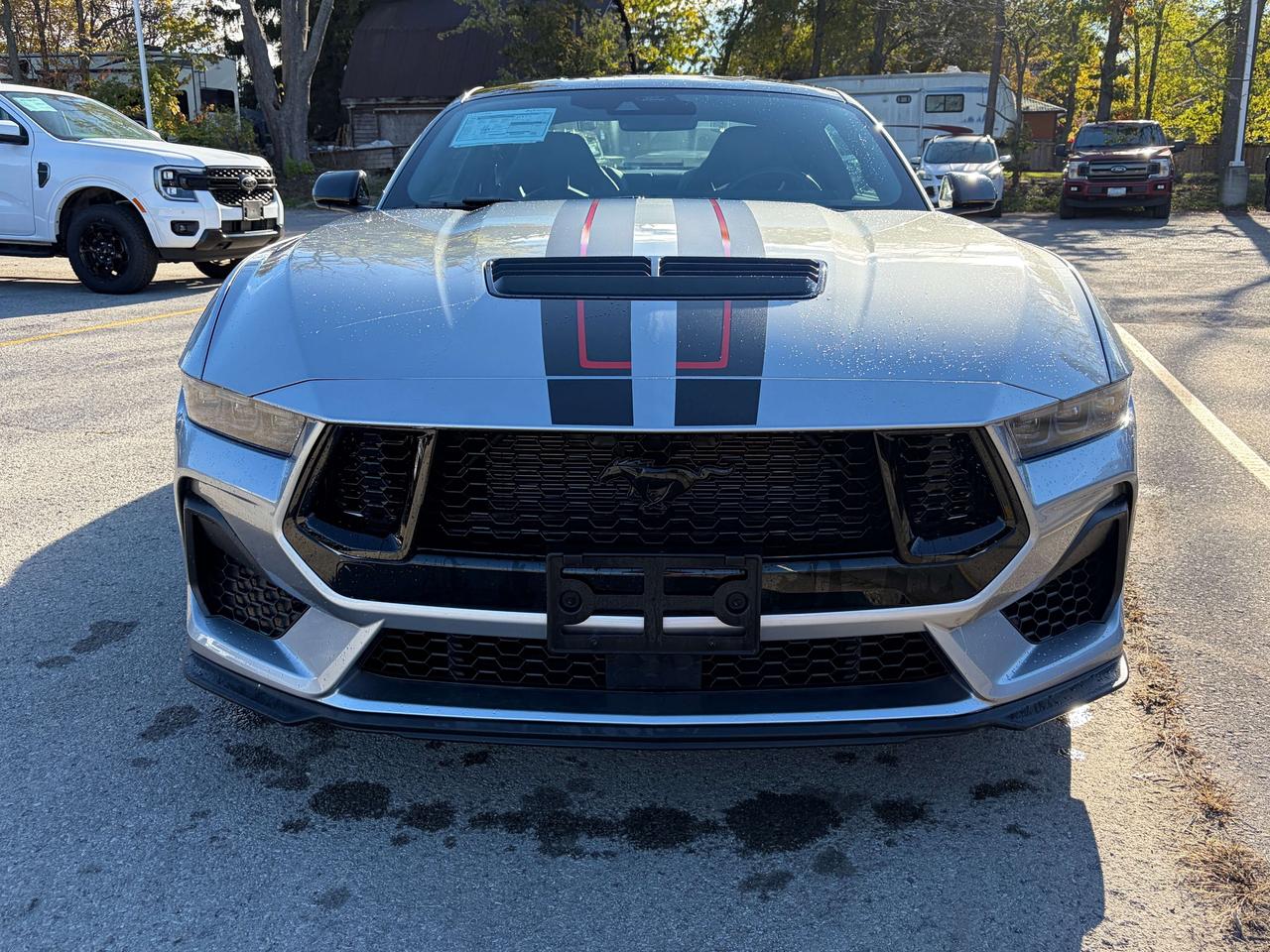 2026 Ford Mustang GT Premium Fastback Photo1