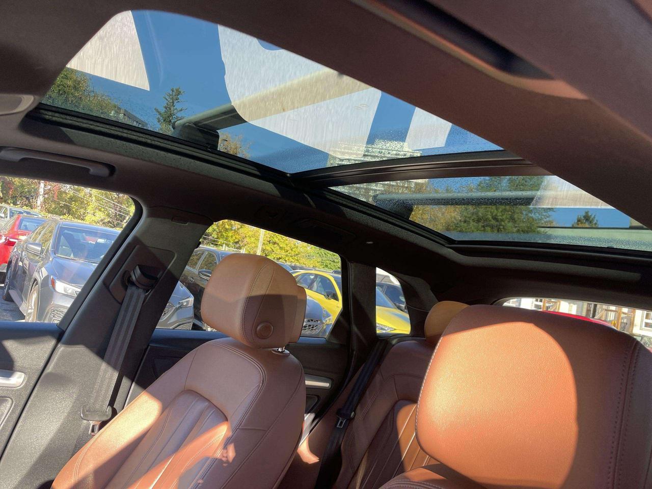 2023 Audi Q5 45 Progressiv Photo
