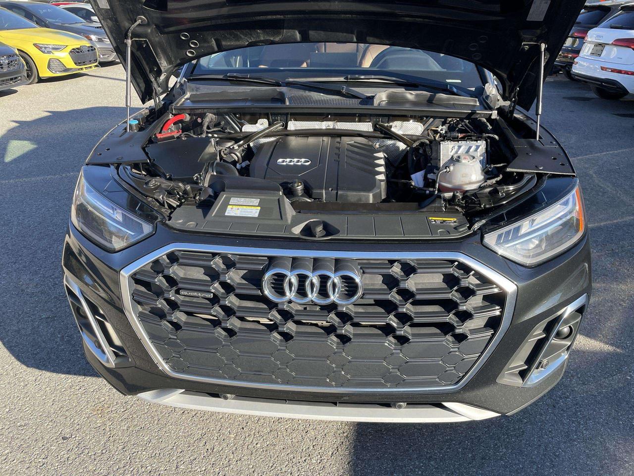 2023 Audi Q5 45 Progressiv Photo