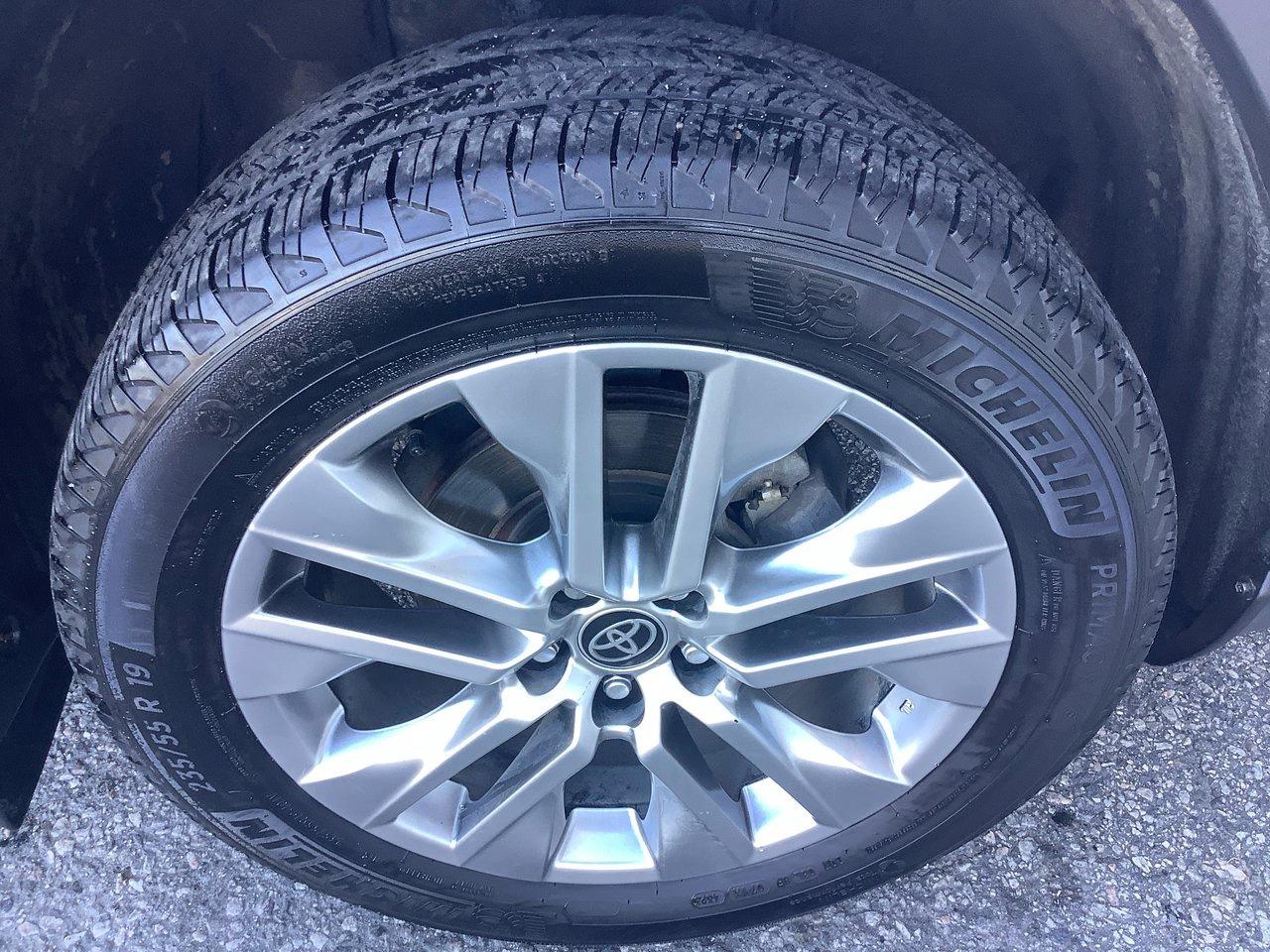 2024 Toyota RAV4 XLE Photo