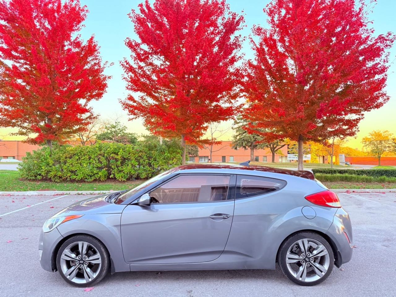 2013 Hyundai Veloster 3dr Cpe Auto w/Tech Hatchback Photo