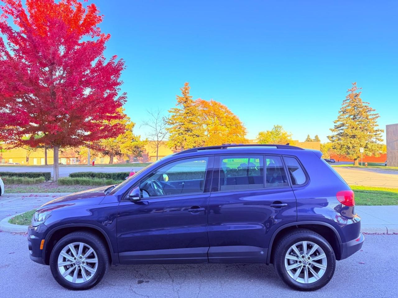 2013 Volkswagen Tiguan 4dr Automatic Comfortline 4Motion Photo
