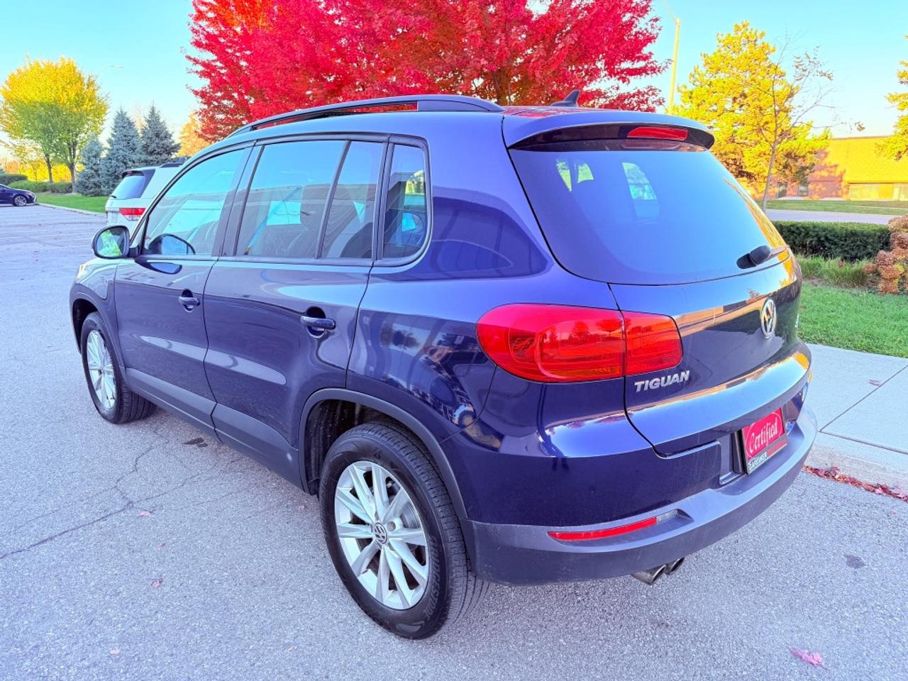 2013 Volkswagen Tiguan 4dr Automatic Comfortline 4Motion Photo
