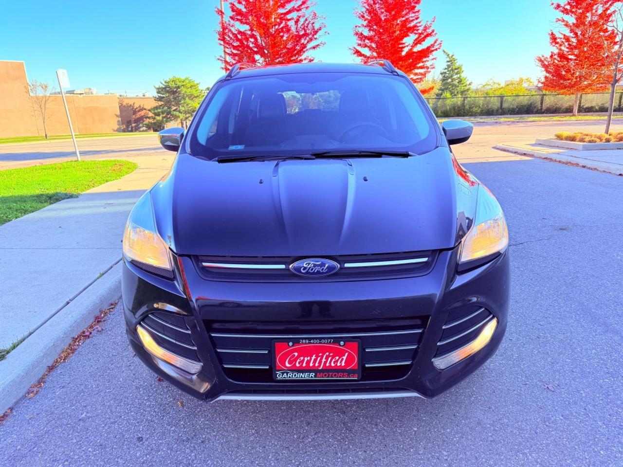 2015 Ford Escape SE 4dr 4x4 Automatic Photo5