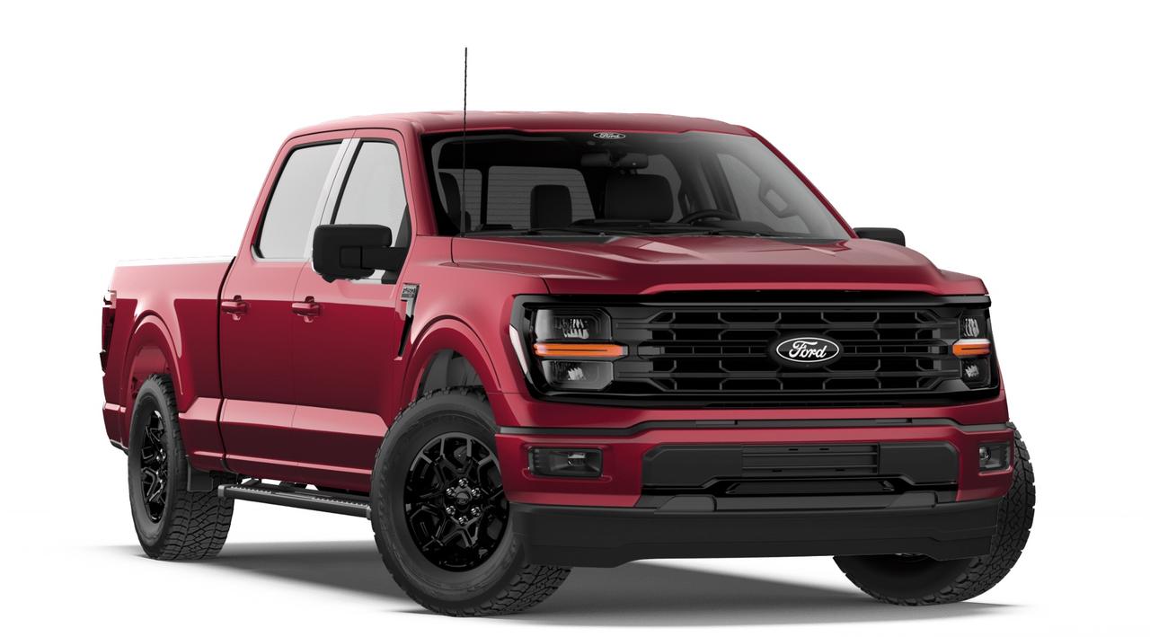 2026 Ford F-150 XLT 4WD SuperCrew 6.5' Box Photo3