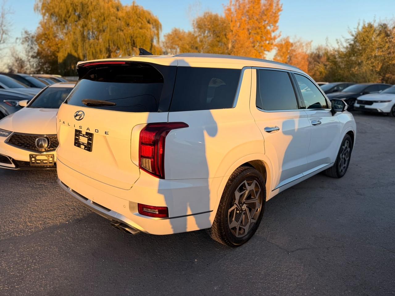 2021 Hyundai PALISADE Ultimate Calligraphy Photo3