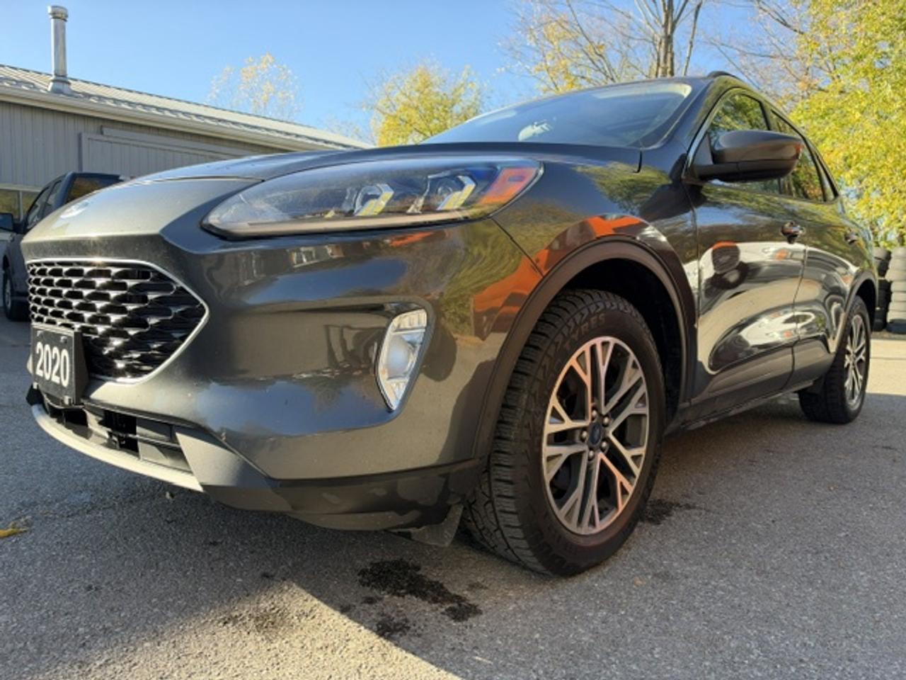 2020 Ford Escape SEL AWD Photo