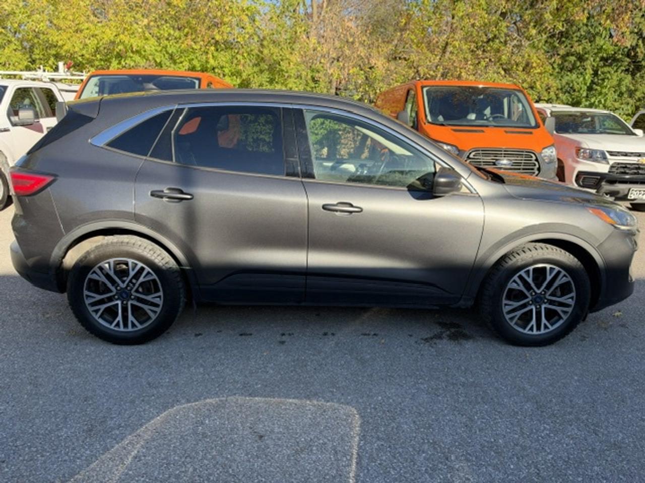 2020 Ford Escape SEL AWD Photo