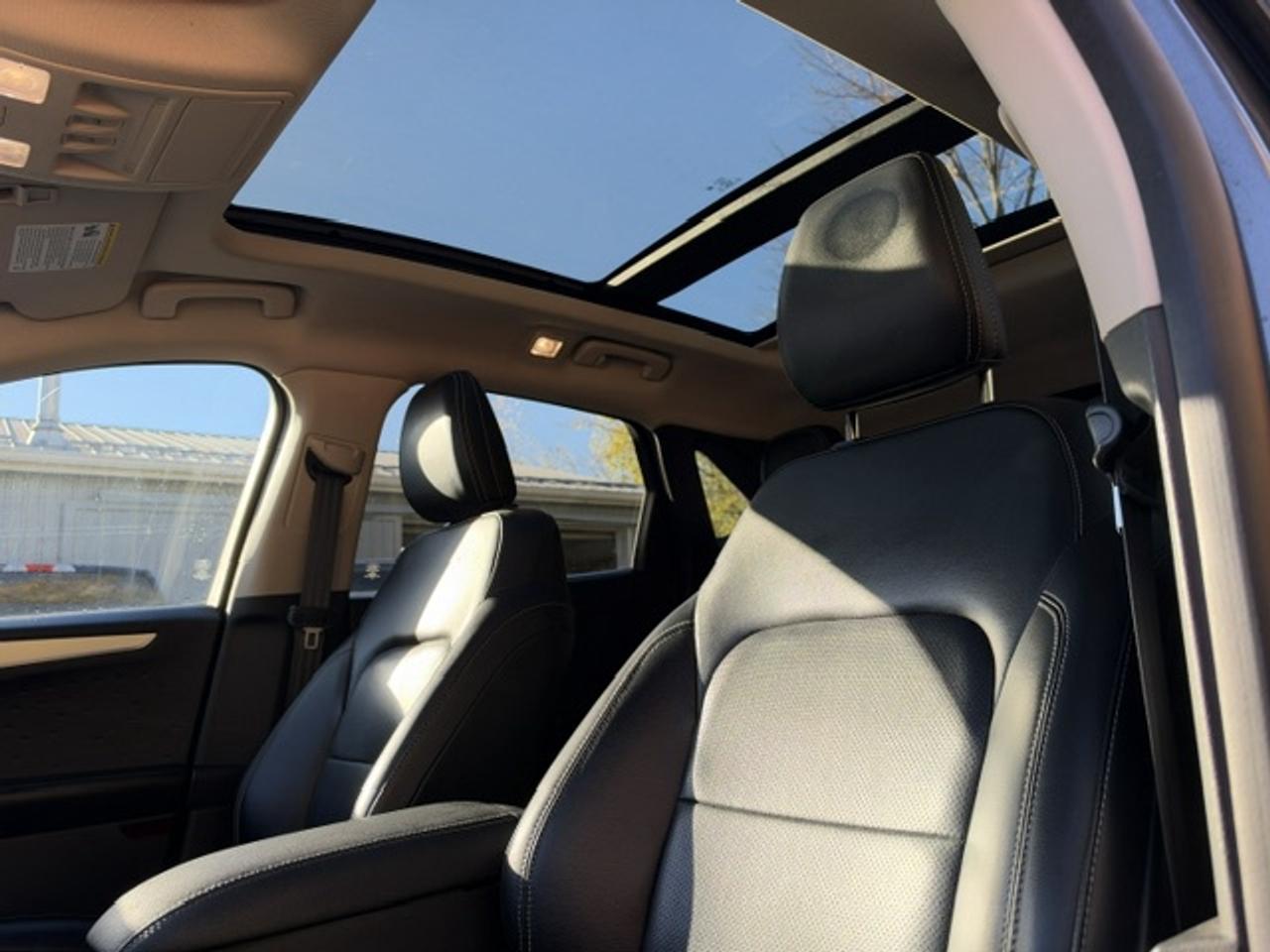 2020 Ford Escape SEL AWD Photo
