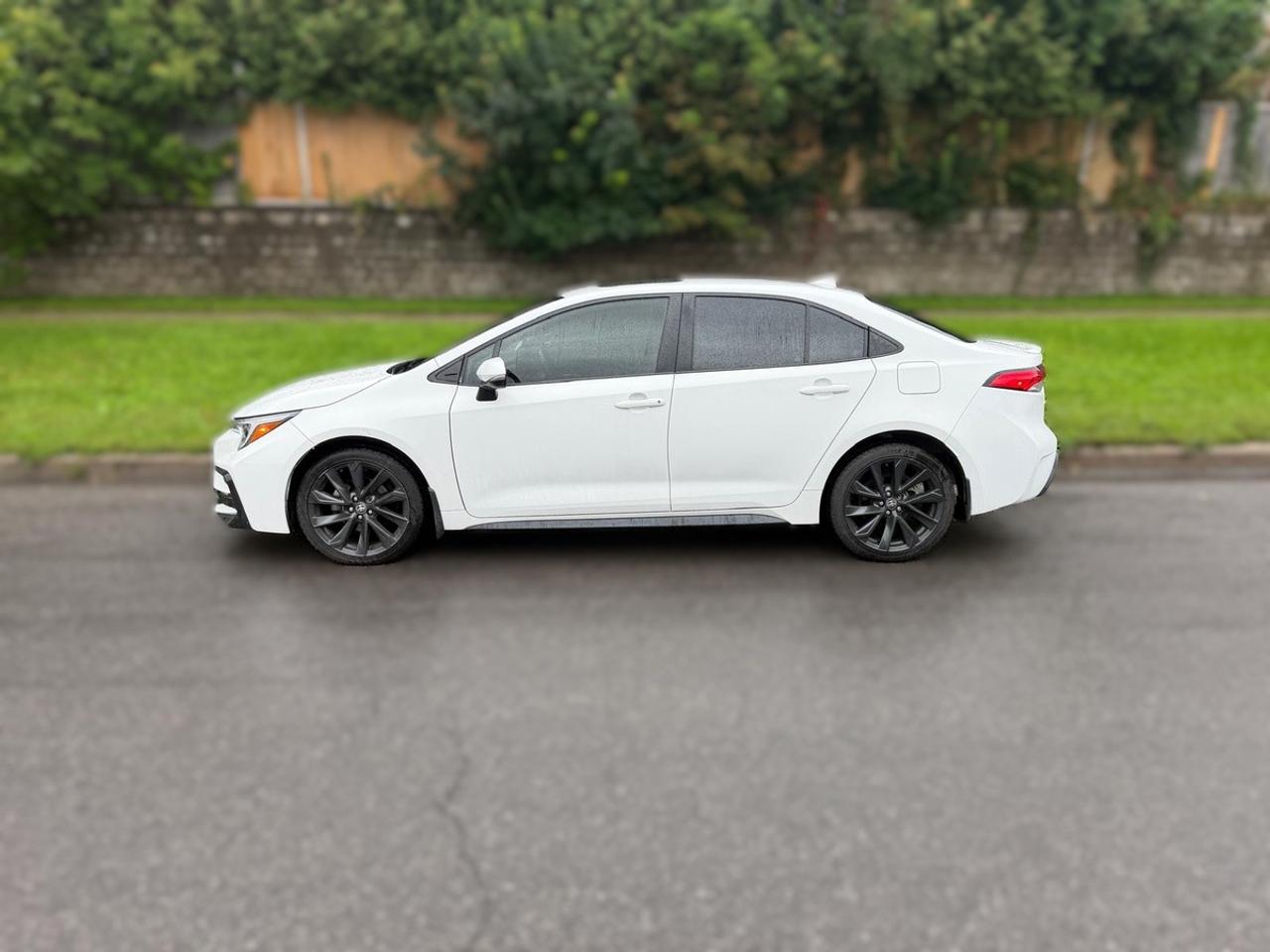 2024 Toyota Corolla SE Photo
