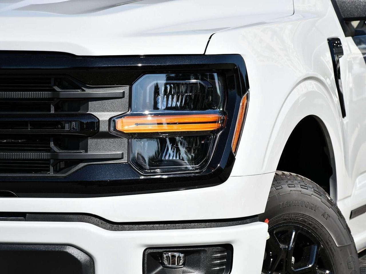 2026 Ford F-150 XLT Photo
