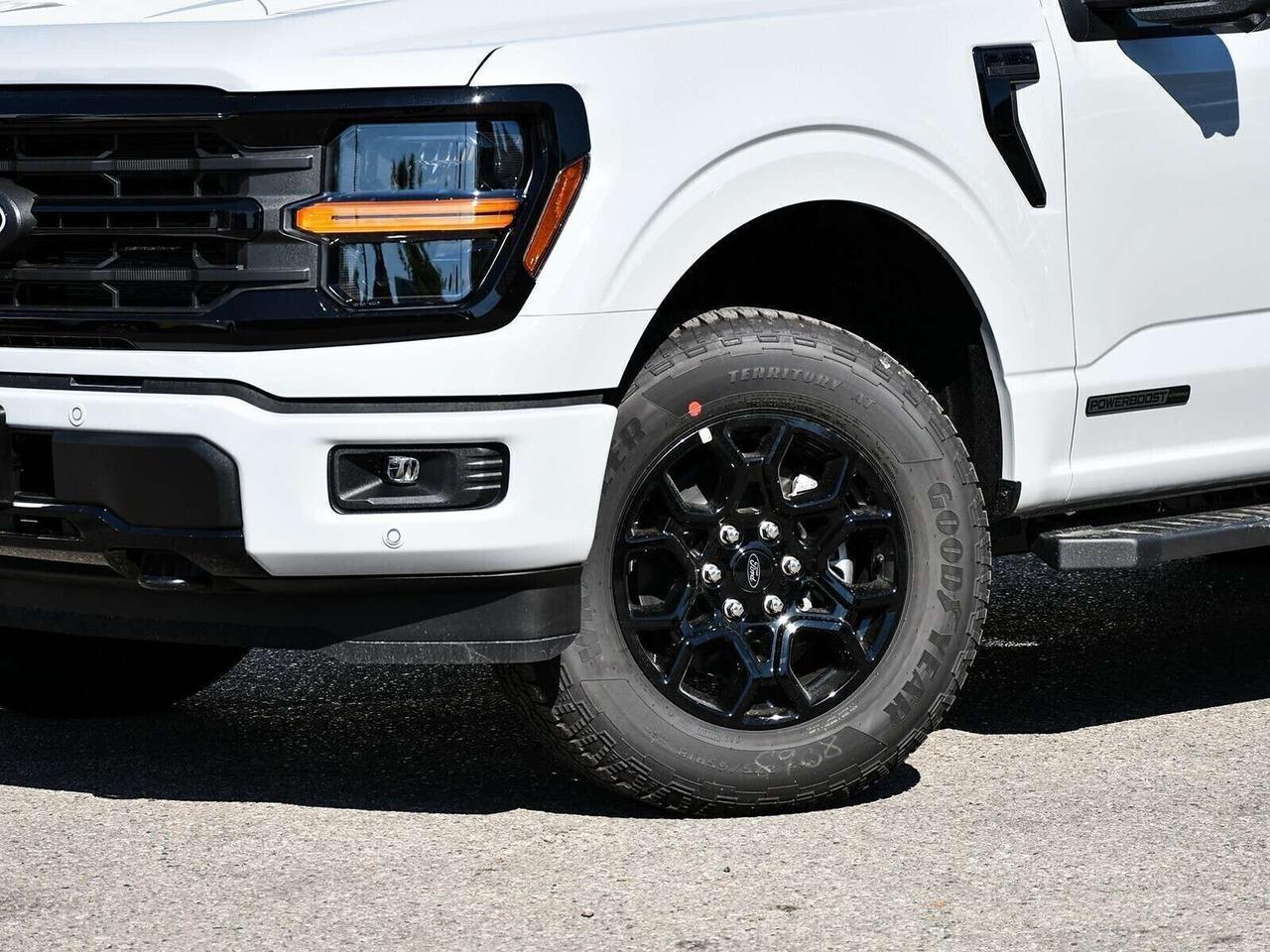2026 Ford F-150 XLT Photo1