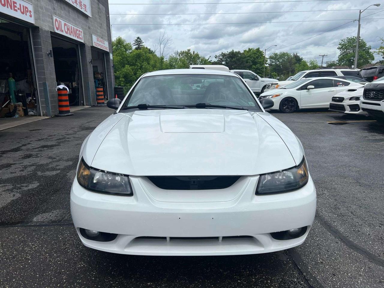 2001 Ford Mustang 2dr Cpe SVT Cobra only 36834kms Photo2