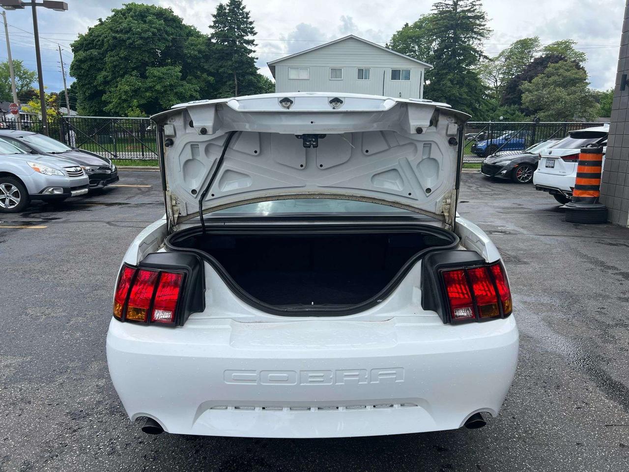 2001 Ford Mustang 2dr Cpe SVT Cobra only 36834kms Photo