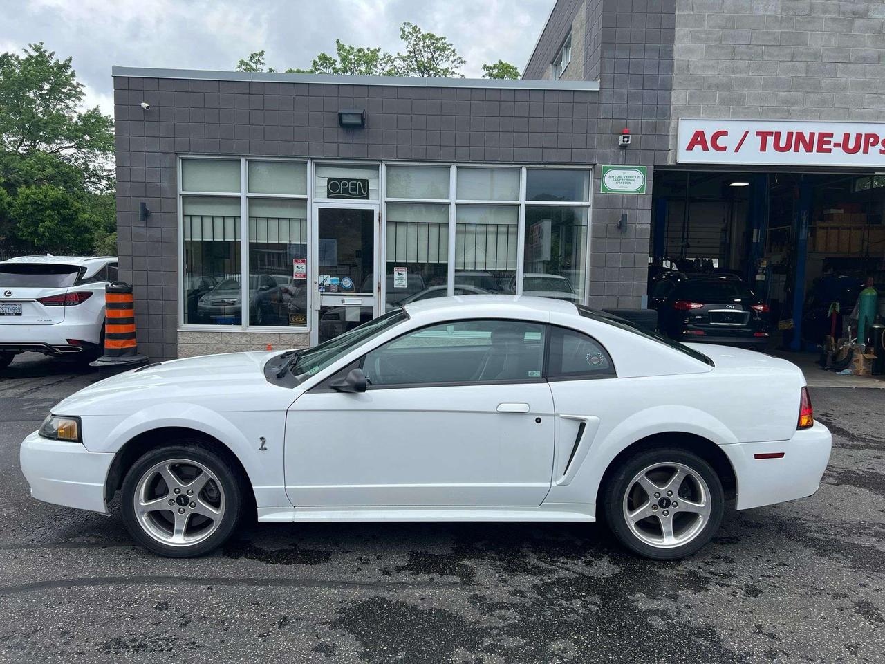 2001 Ford Mustang 2dr Cpe SVT Cobra only 36834kms Photo