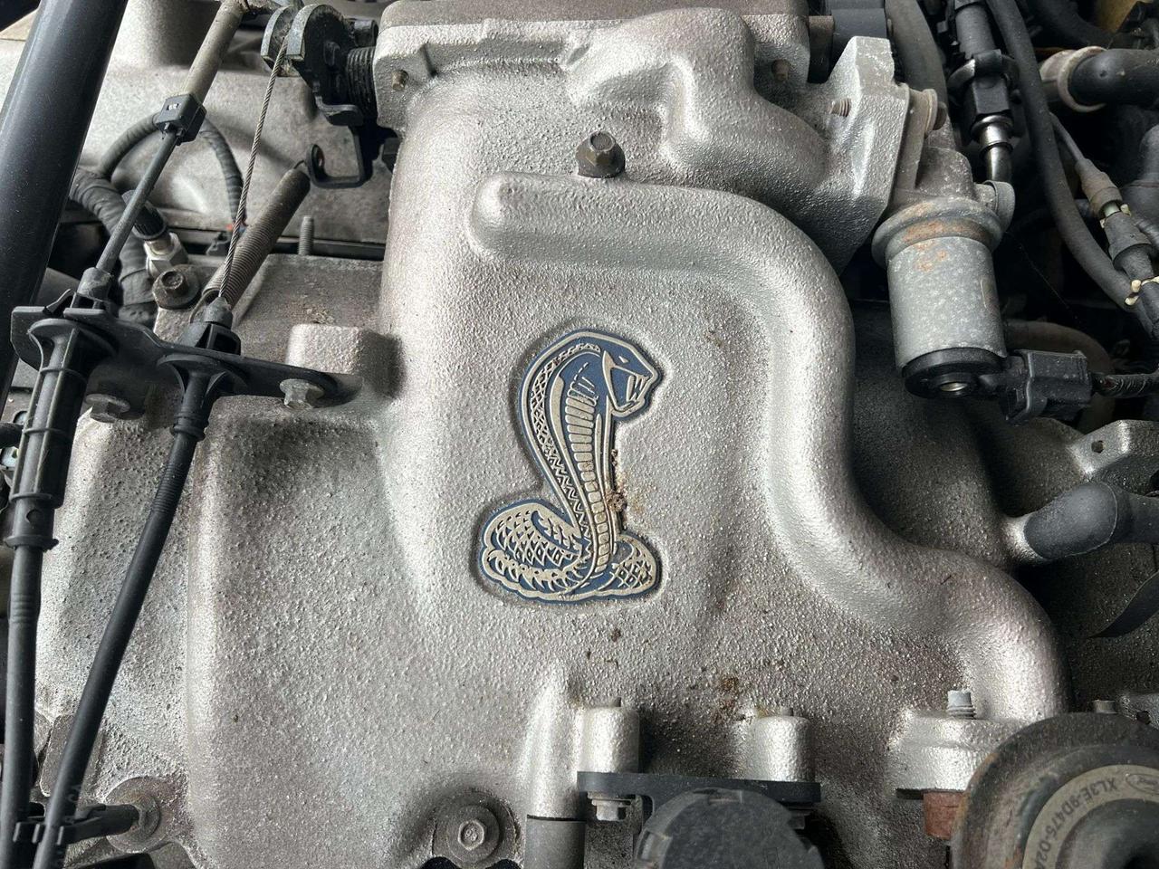 2001 Ford Mustang 2dr Cpe SVT Cobra only 36834kms Photo