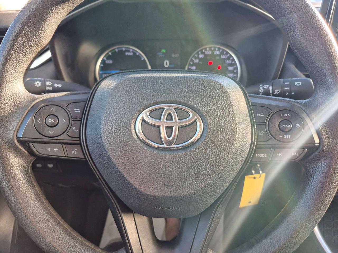 2019 Toyota RAV4 LE Photo