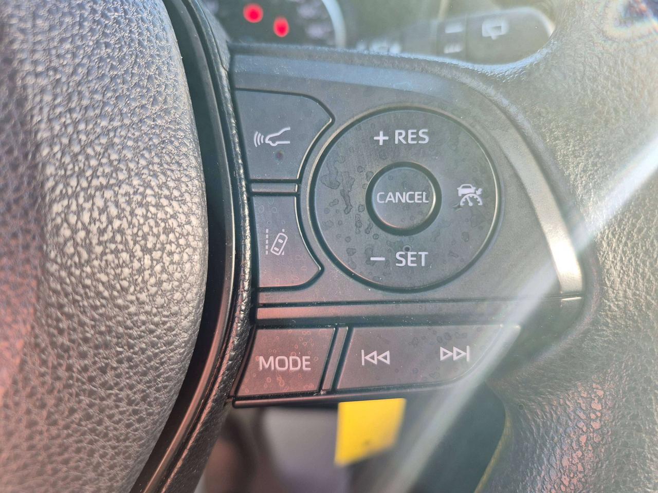 2019 Toyota RAV4 LE Photo